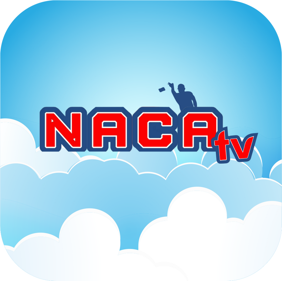 NACA Dayton Aviators Cornhole Bags