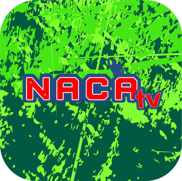 NACA Buffalo Brawlers Cornhole Bags