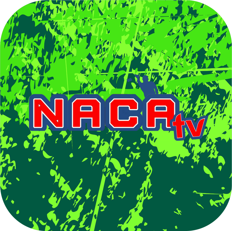 NACA Buffalo Brawlers Cornhole Bags