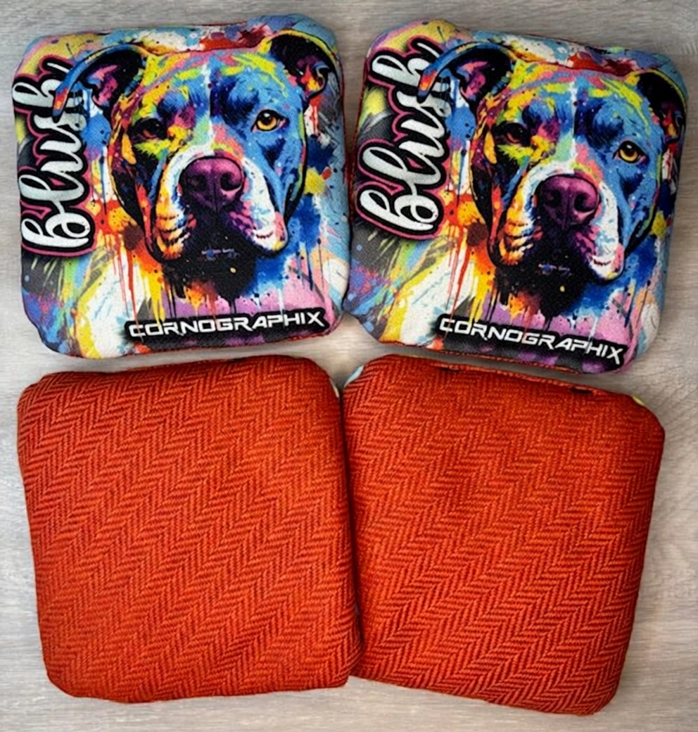Pitty cornhole bag
